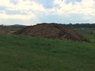 Pile of Cow Manure