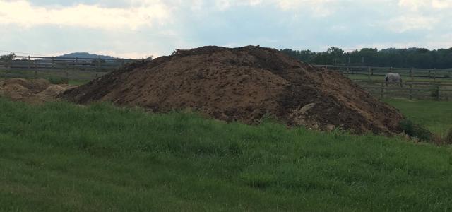 Pile of Cow Manure