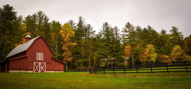 barn surrounded by trees by Frances Gunn courtesy of Unsplash.